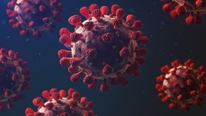 “A simple virus has brought life as we know it to a screeching halt,” James Gallagher, “Covid: Why is the coronavirus such a threat?” (Oct. 22, 2020), BBC.